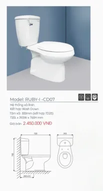 TIỂU NAM VIGLACERA T1