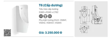 TIỂU NAM VIGLACERA T6 CẤP DƯƠNG