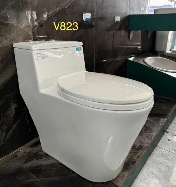 BỒN CẦU LIỀN KHỐI VIGLACERA V823 NẮP ÊM