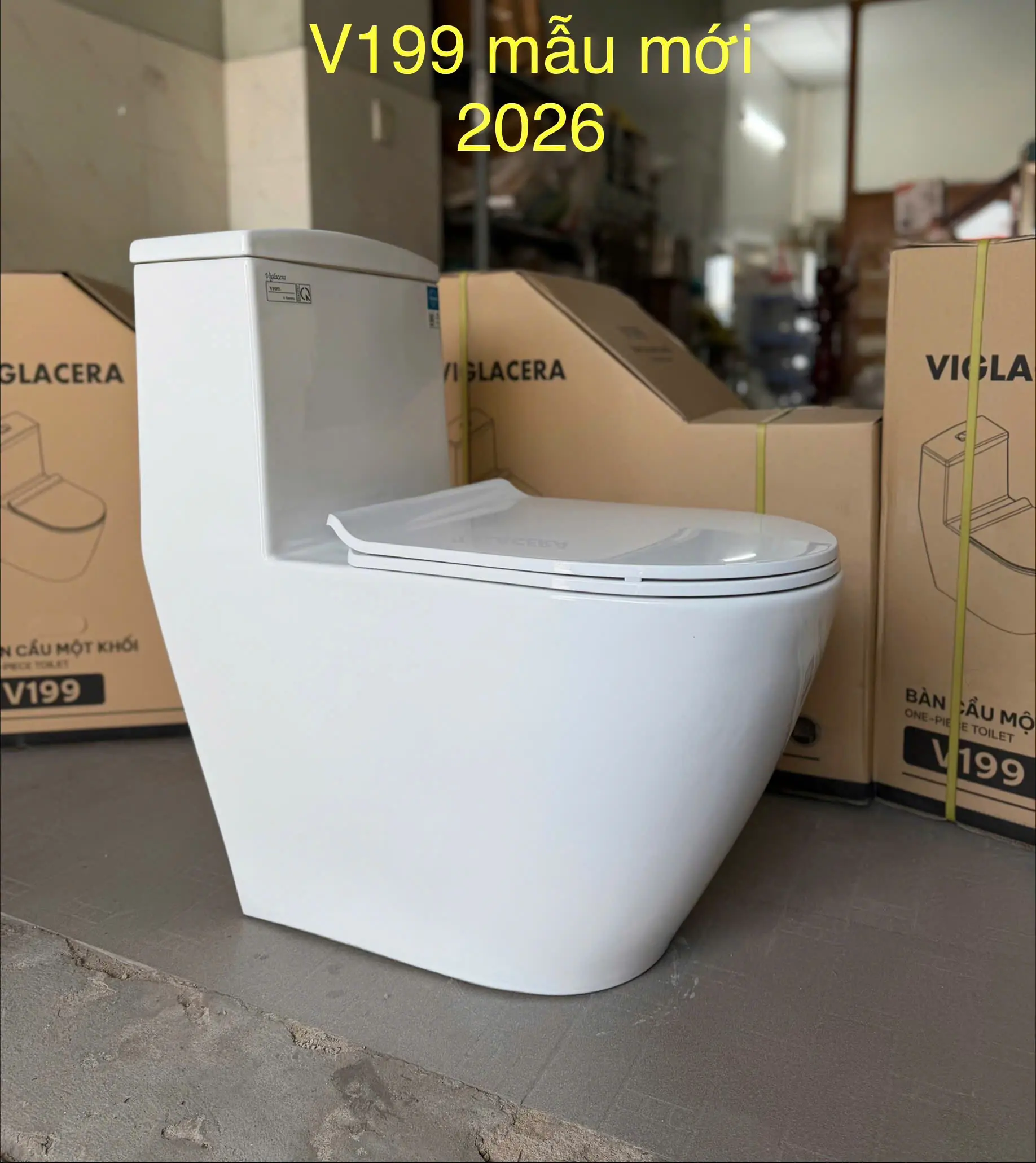 BỒN CẦU VIGLACERA